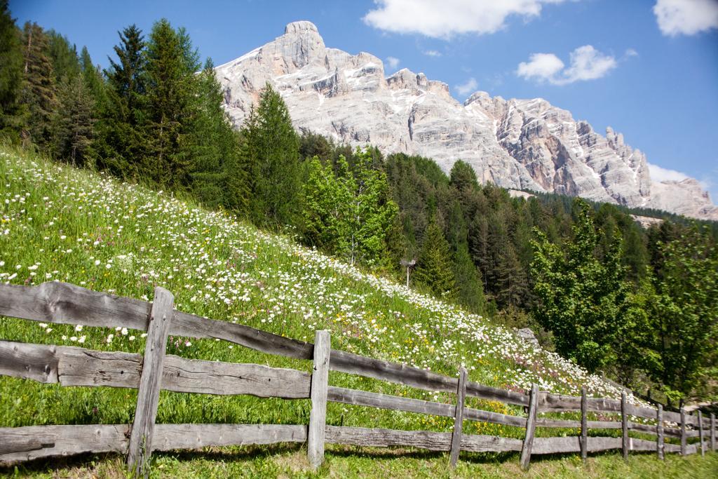 Alpine Mountain Chalet Aparthotel Al Plan di Mareo Buitenkant foto