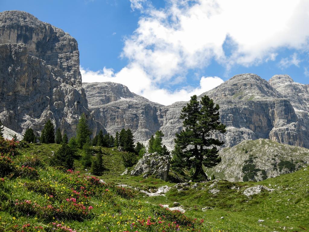 Alpine Mountain Chalet Aparthotel Al Plan di Mareo Buitenkant foto